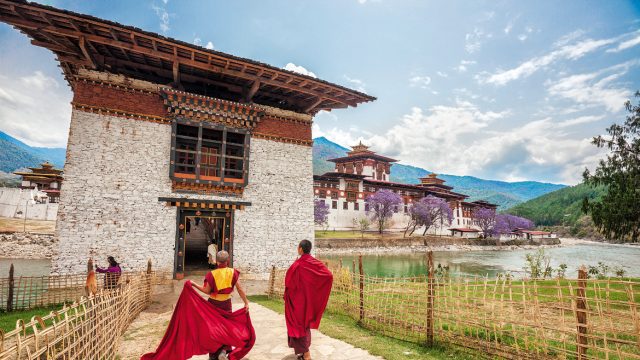 Monks at the Punakha Dzong