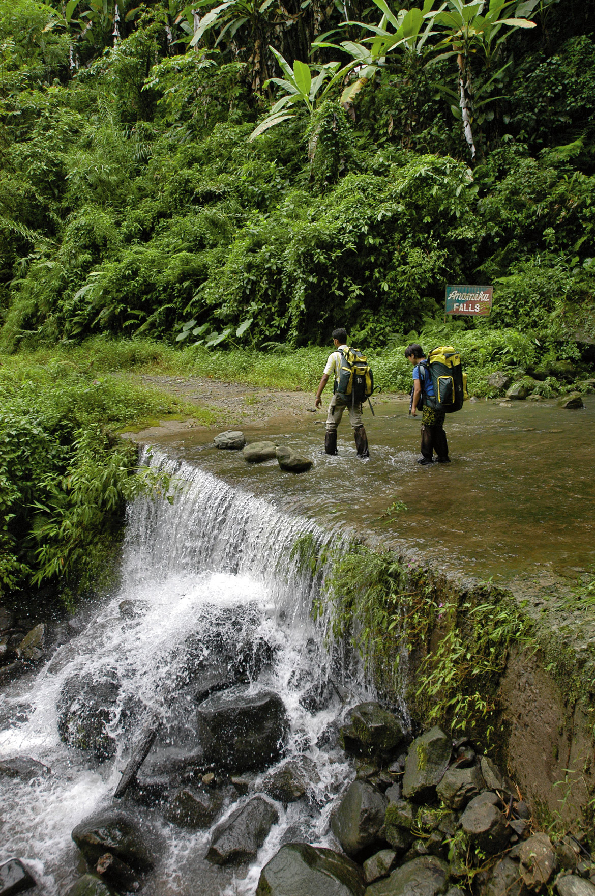 Trekkers at Namdapha National Park