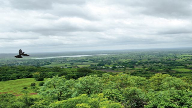 Verdant landscape around Ananthagiri Hills