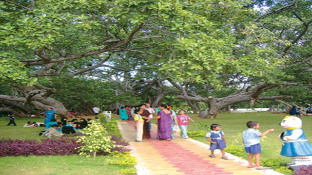 Visitors in the Pillalamarri Tourism Complex