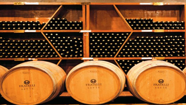 Wine ageing in oak wood barrels, Fratelli winery