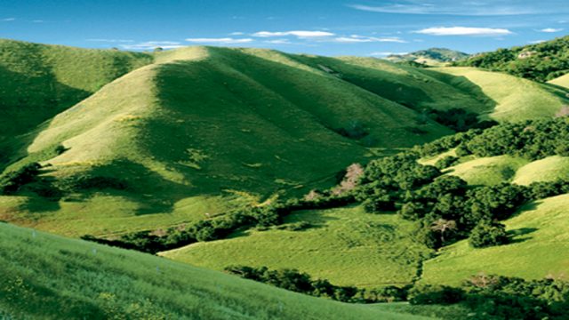 The verdant landscape around Dr Modi’s Health Resort