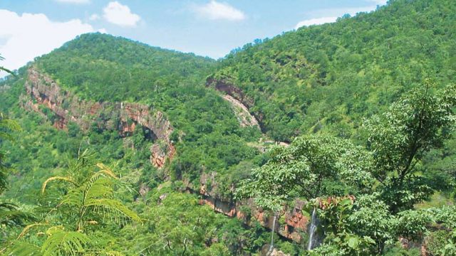 Dense deciduous forests covering the Nallamala Hills