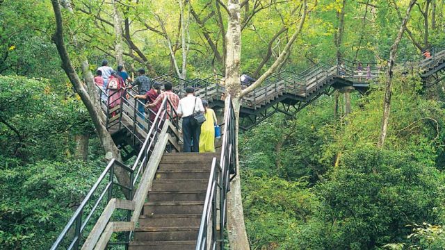 An elevated walkway in the Adventure Zone, Thenmala