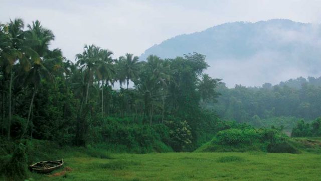 The Salim Ali Bird Sanctuary on a misty morning