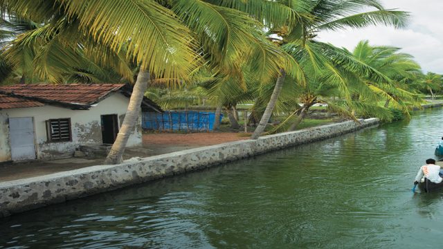 Boating down Kuttanad’s serene backwaters