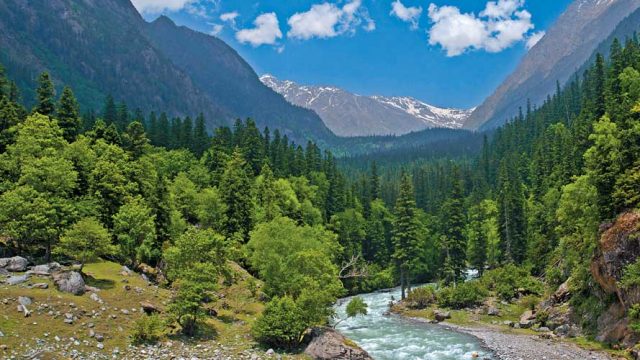 The picture-perfect environs of the Rupi Bhaba Wildlife Sanctuary