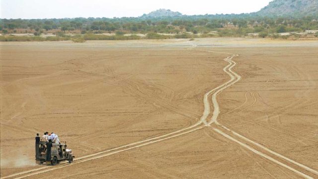 The expansive dry bed of the Sambhar Salt Lake