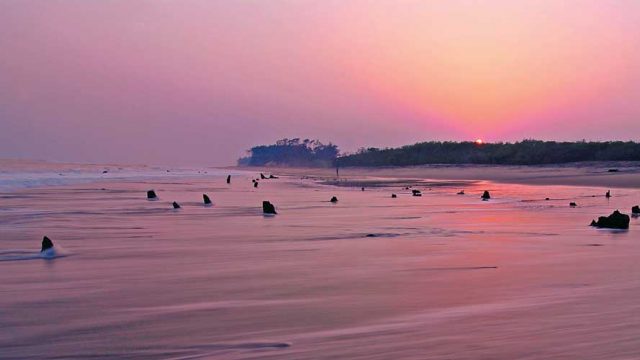 Vast network of waterways in Bhitarkanika National Park