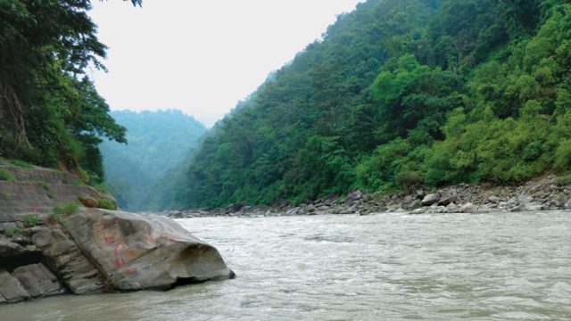 A river meandering through a heavily forested valley, Nandhaur WLS