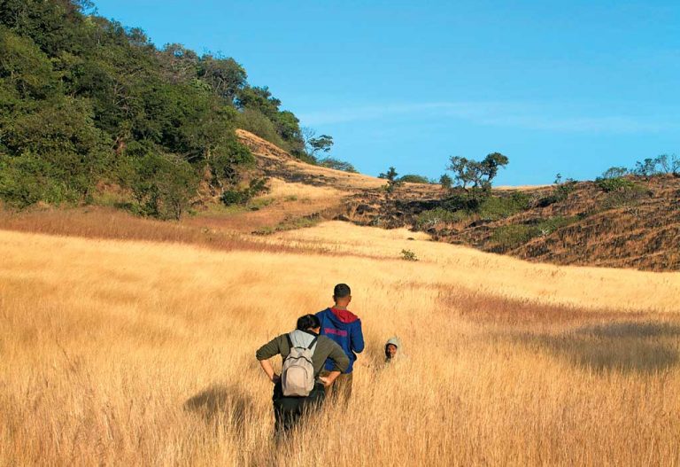 Anshi National Park