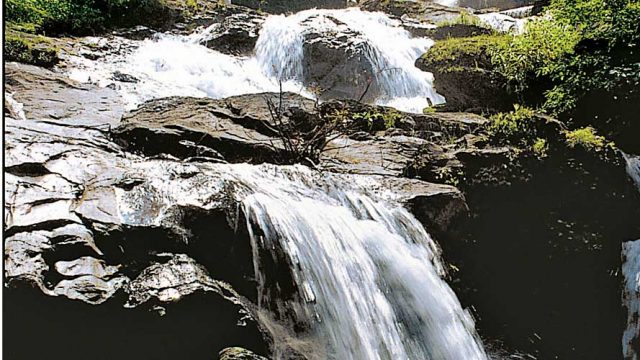 The scenic Irpu Falls flowing through thick jungles