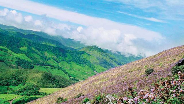 The beautiful Nilgiri Hills, home to the Eravikulam NP