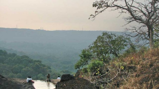 Sweeping views from a vantage point in Sanjay Gandhi National Park