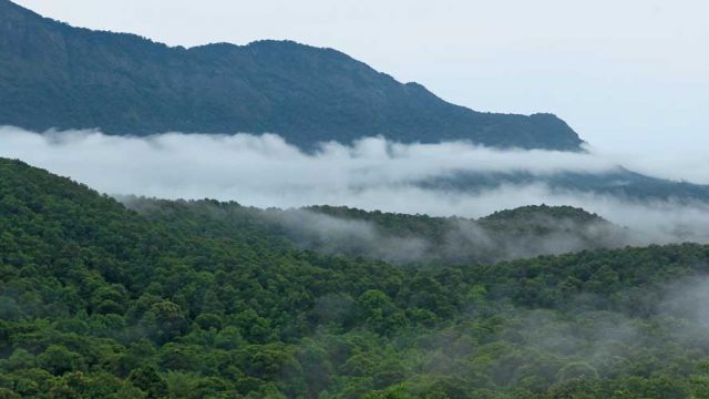 Clouds wafting over the densely forested Silent Valley National Park