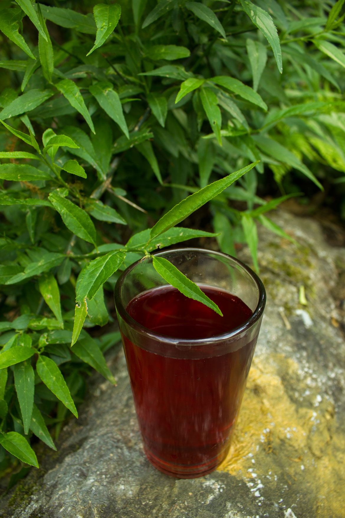 A refreshing glass of rhododendron juice extracted from many rhododendron flowers