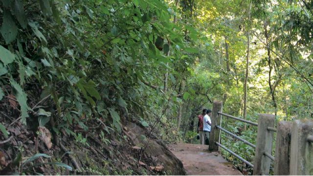 A walkway in Kanger Valley NP