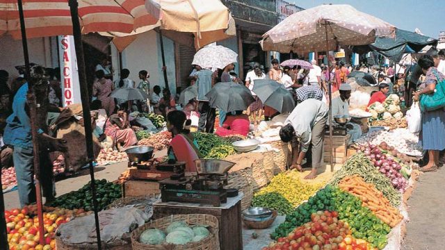 Fresh produce at the Friday market