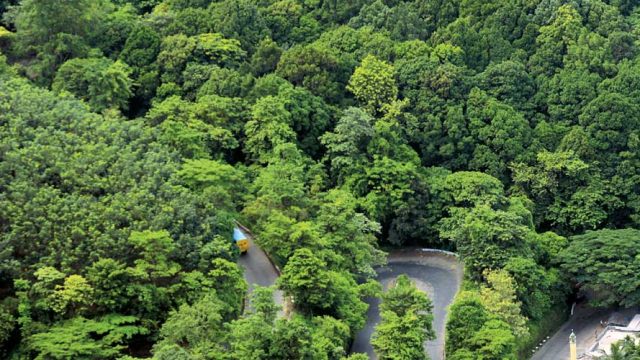 An aerial view of the lush Lakkidi hill station