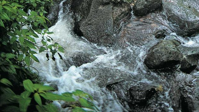 The pretty Hebbe Falls, Chikmagalur