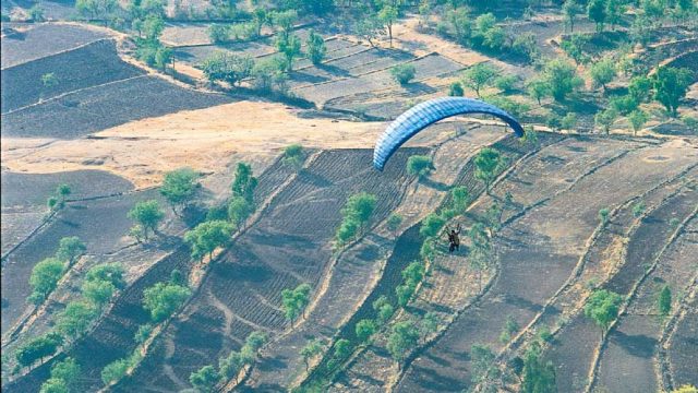 Paragliding high above the fields at Kamshet