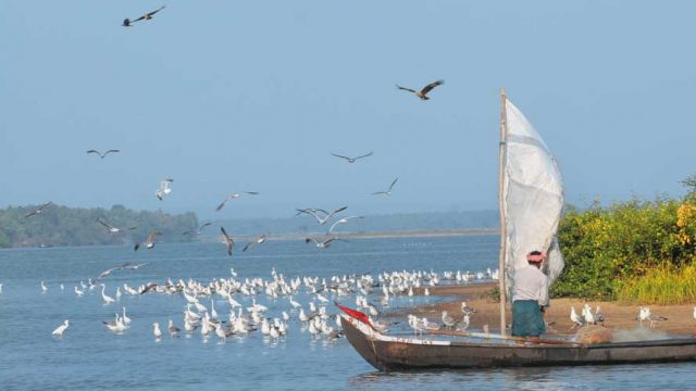 Padinjarekkara Beach