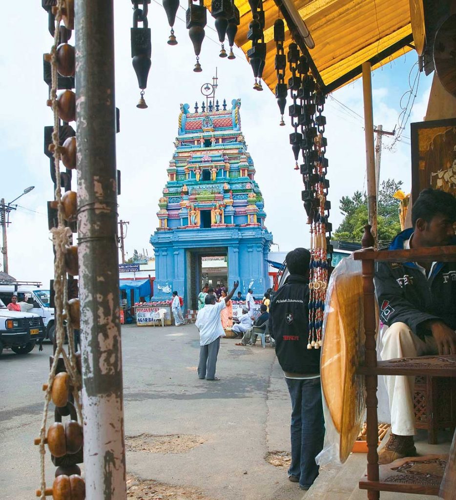 Palani Hills: Temples and Trees