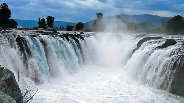 The awe-inspiring Hogenakkal Falls at full strength