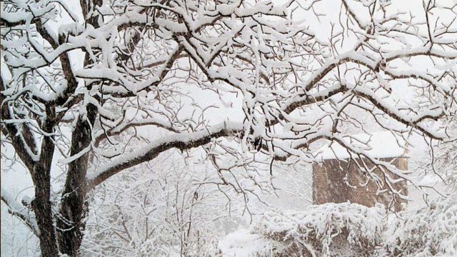 Snowed under in winter, Abbott Mount