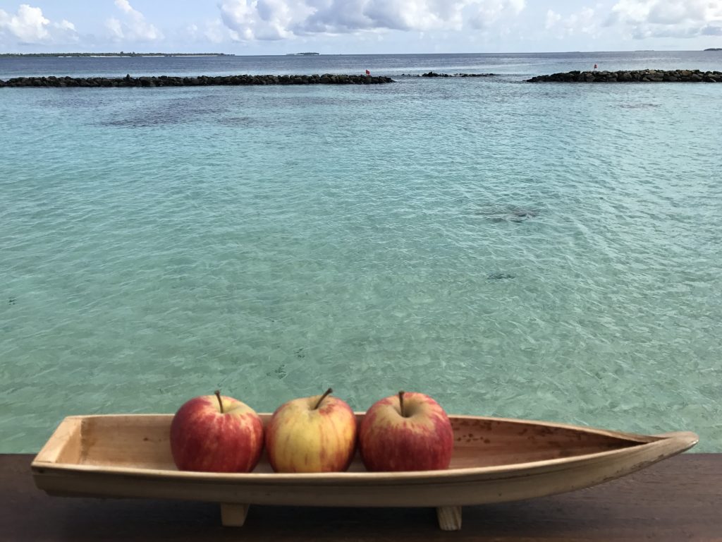 The Maldives
