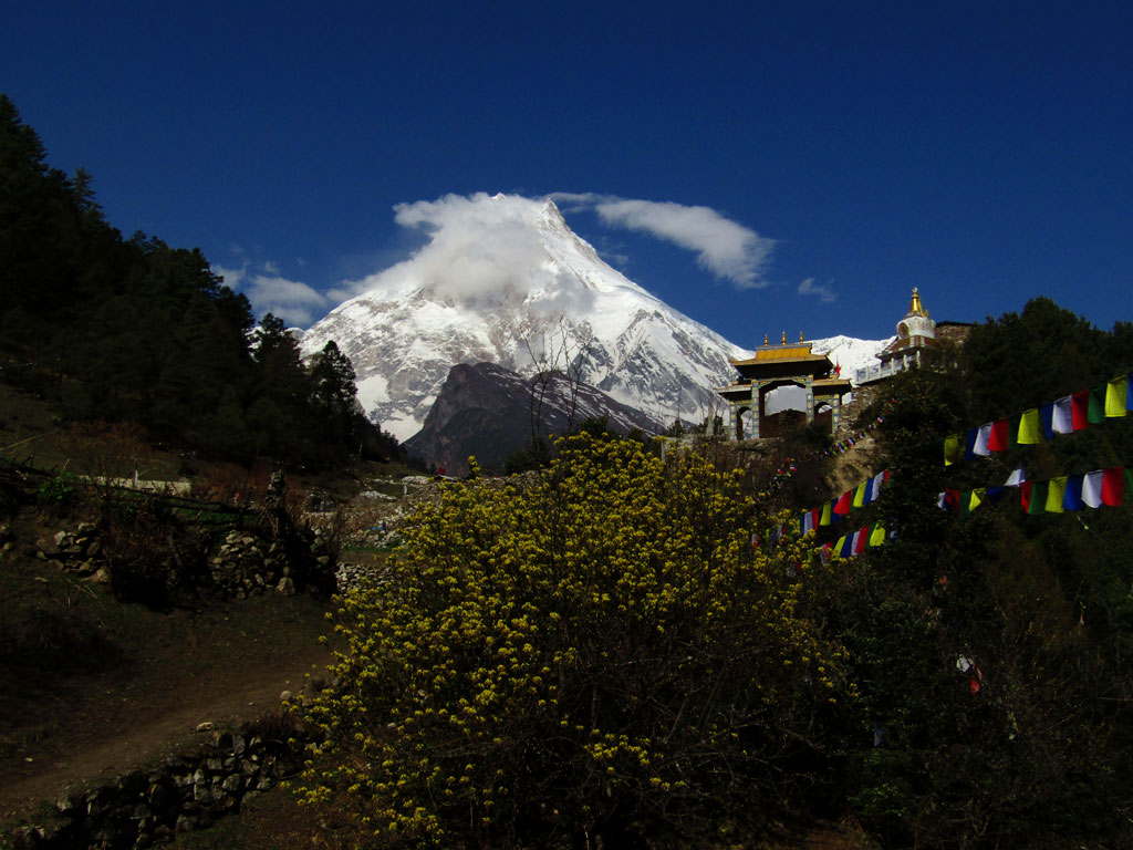 The Lho monastery with Manaslu in the background