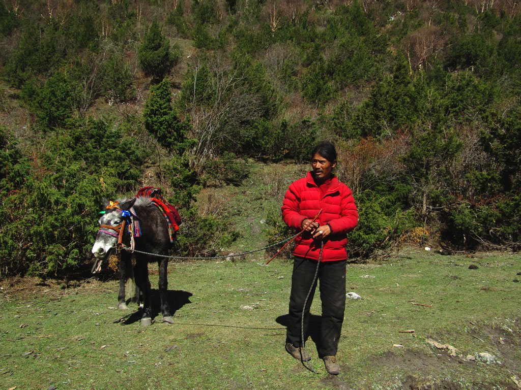 A Khampa Tibetan man with his pony