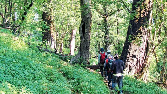 Trekkers in the Great Himalayan NP