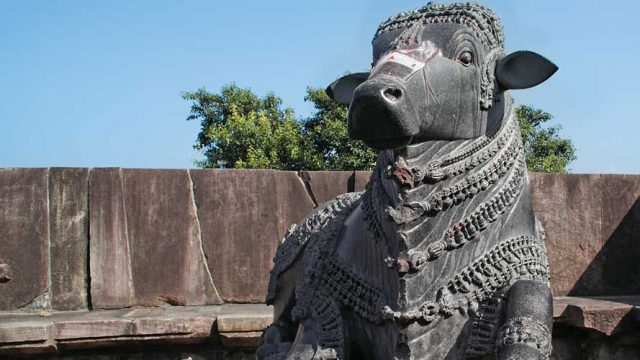 Impressive Nandi at Thousand Pillar Temple, Warangal