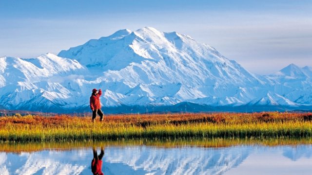 A tourist takes in the view at Denali National Park