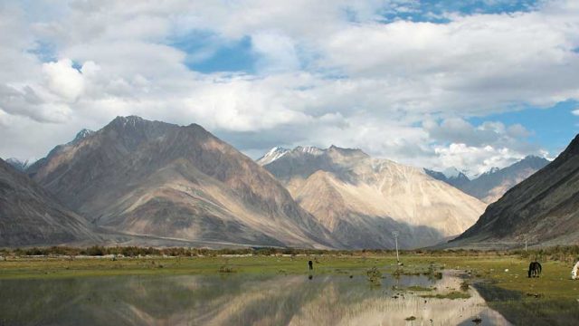 Near Hundar, Shayok Valley, Ladakh