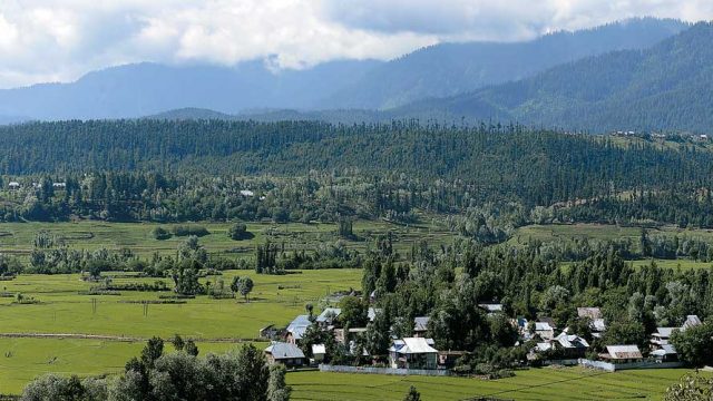 The lush green forests and pastures of the Lolab Valley