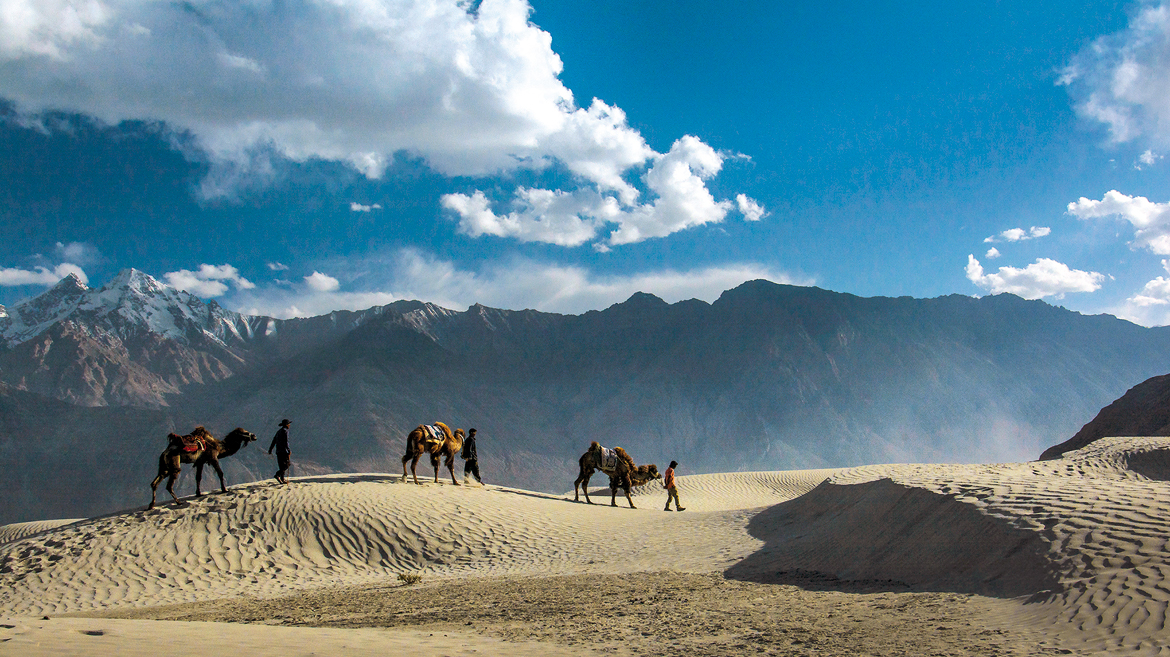 March 2017: Nubra Valley, Ladakh by Saptarshi Kar