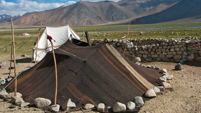 Nomads of the Changthang plateau with their camps