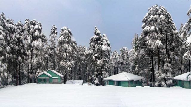 Winter at Patnitop