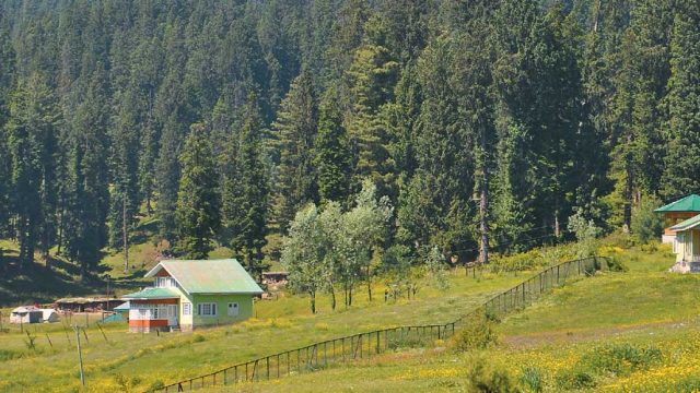 The lush Yusmarg meadows below the Pir Panjal range