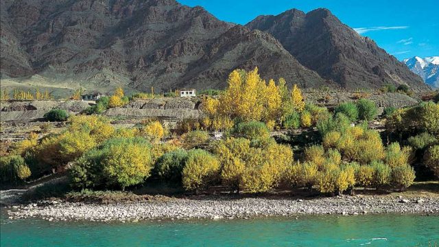 The timeless Indus River flows below Stok village