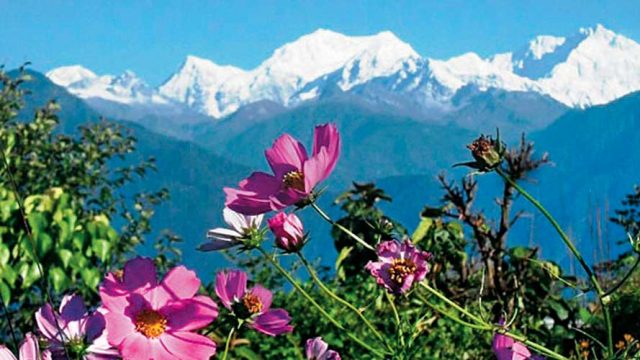 The Singalila Range, as seen from the Barsai Rhododendron Sanctuary