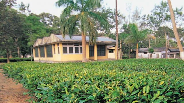 Tocklai Tea Research Centre