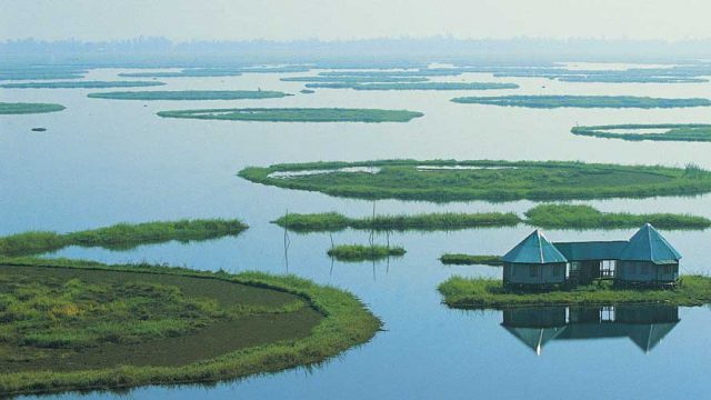 Phumdis of varying sizes on the surface of Loktak Lake