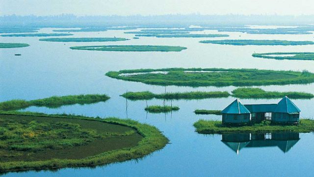 Phumdis of varying sizes on the surface of Loktak Lake