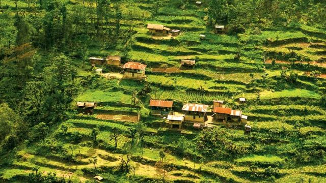 Terraced farmland in the Yuksom Valley