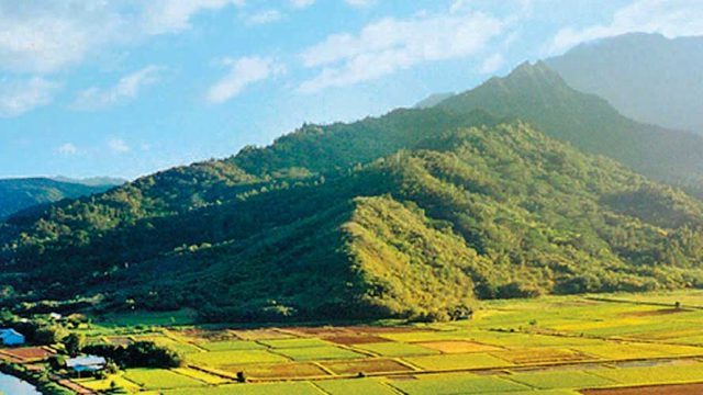 A gorgeous view of Diphu’s verdant environs, with low hills in the backdrop