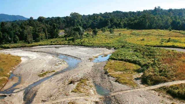 A dry creek bed in Pakke Tiger Reserve