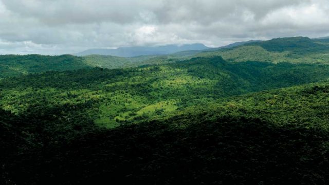 The wide expanse of Balpakram NP near Williamnagar